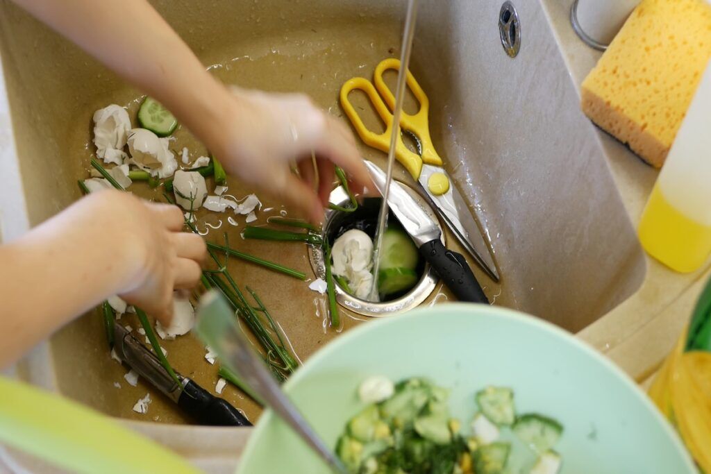 Organic garbage in sink, food waste disposer. Peels, remains, disposal grinder.