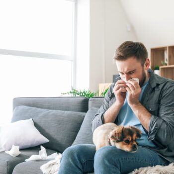 Man suffering from pet allergy at home